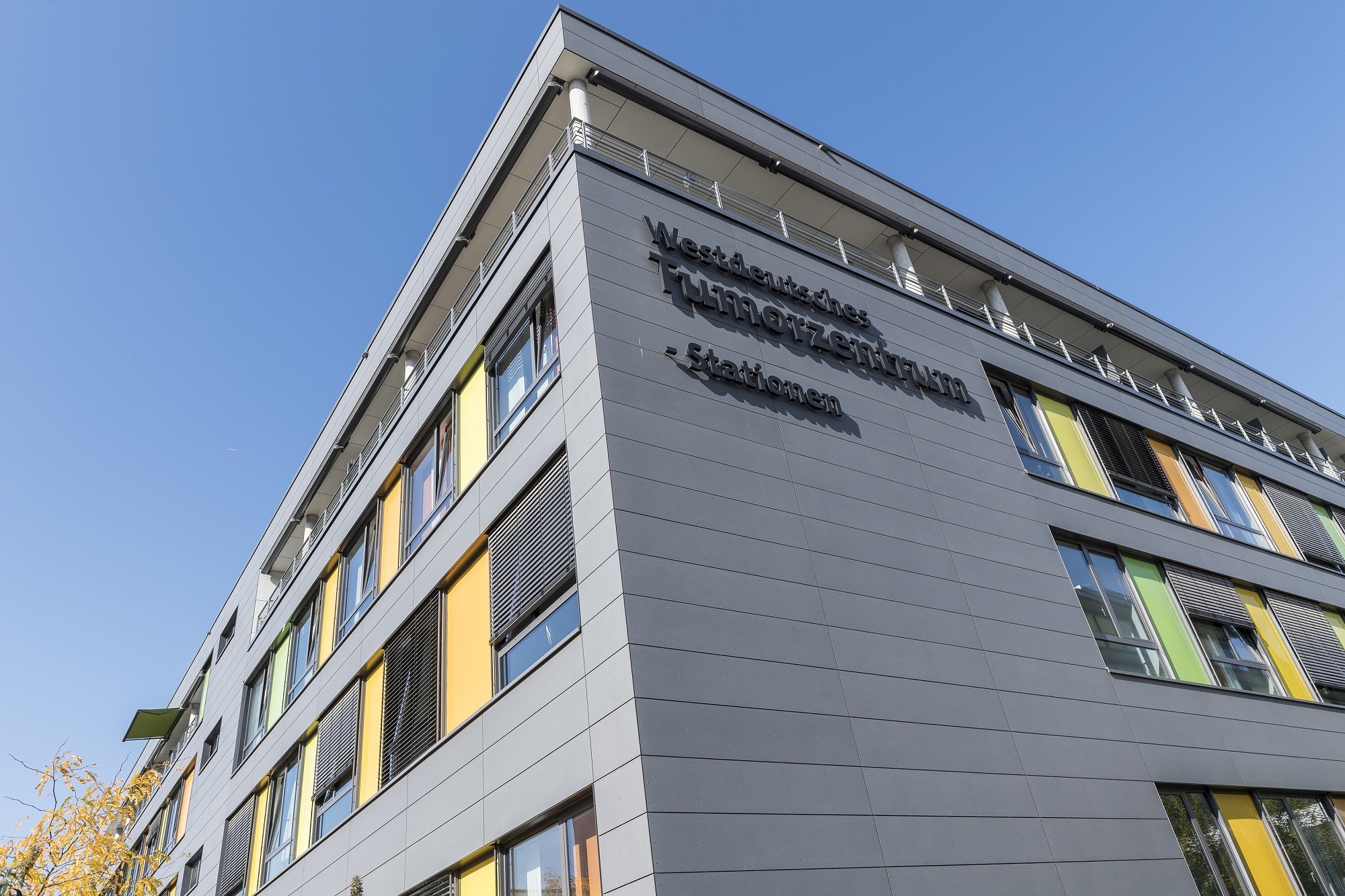 Ihre Behandlung im WTZ-Stationenhaus - Titelbild