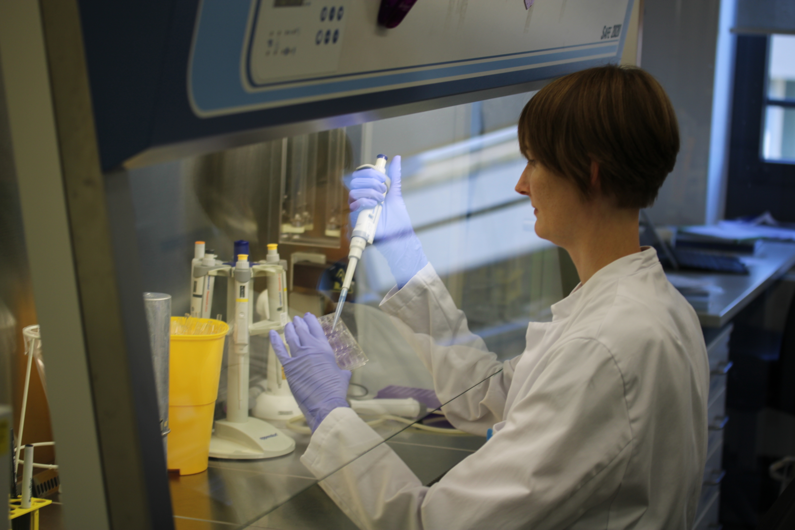 DFG f&ouml;rdert Essener Immunforscherin: Was Schilddr&uuml;senhormone mit Grippe und Krebs zu tun haben k&ouml;nnten - Titelbild